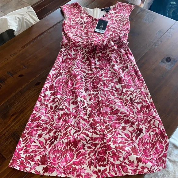 open lace back dress The Hummingbird | Mary Jane Hot Pink Velvet | Women's Ballet Flats main image 1